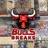 bullsbreaks