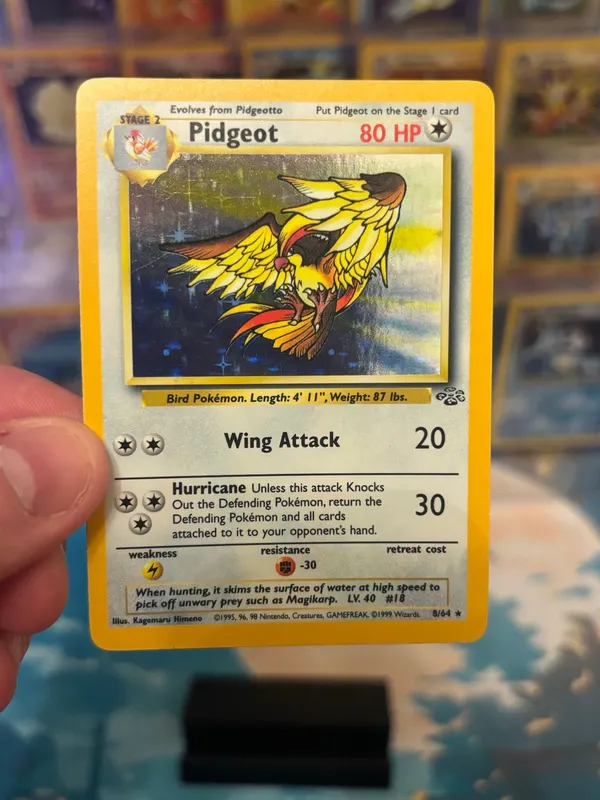 Pokmon Base Set Pidgeot Rare Card 8/64  Whatnot: Shop, Sell, Connect