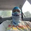 masteryapz